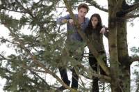 Edward na strom u svho barku stoj s Bellou jak se jmenuje Bella pravm jmnem ? (nhled)