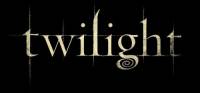 Co znamená v překladu Twilight? (náhled)