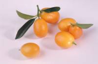 Jak se jmenuje tento nejmen citrusov plod? (nhled)