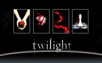 Jak se jmenuj dly Twilight sgy?  (nhled)