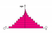 Na obrzku vidme vkovou pyramidu, kter to je? (nhled)