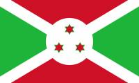 Vlajka za 3 body: Středoafrický stát (náhled)