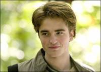 Kdo hraje Cedrica Diggoryho? (nhled)