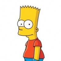 Byl Bart siamsk dovje??