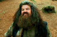Rubeus Hagrid je ... (náhled)