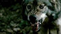 2.sria- Kto skoro zomrel na vlkolaie kousnutie? (nhled)