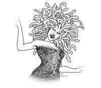 Ve starověké řecké mytologii můžeme nalézt "ženu", která měla místo vlasů živé jedovaté hady. Kdo se podíval do jejích očí, ten na místě zkameněl. Jaké tato "žena" nesla jméno? (náhled)