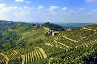 Vinice na obrázku č.13, ze kterých pochází proslulé víno Barolo, se nacházejí ve vinařské oblasti zapsané na seznamu UNESCO: (náhled)