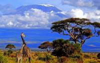 Fotografie č.2 je z Národního parku Kilimandžáro, který byl na seznam UNESCO zapsán v r.1987. Ve kterém státě se rozprostírá národní park se stejnojmennou horou? (náhled)