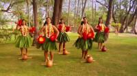 Jak se nazývá tradiční domorodý tanec z Havaje? (náhled)