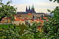 Ve které pražské čtvrti se nachází Pražský hrad? (náhled)