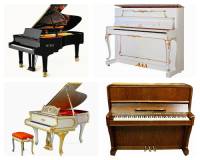 Které město je spjato s výrobou koncertních klavírů a akustických pian značky Petrof na obrázku č.13? Společnost Petrof je největším výrobcem akustických pian v Evropě. (náhled)