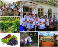 Významná národopisná a vinařská oblast v ČR, kterou charakterizuje fotografie č.12, se jmenuje: (náhled)
