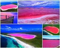„Růžový drahokam uprostřed lesů“ – tak se také říká unikátnímu jezeru na fotografii č.14, jehož voda má růžovou barvu. Jezero se zařadilo k nejkrásnějším místům světa. Jaký je oficiální název jezera?  (náhled)