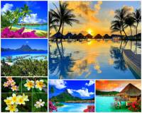 Jak se jmenuje ostrov sopečného původu na fotografii č.9, který je jedním z atolů souostroví Francouzská Polynésie? Ostrov je turisticky atraktivním místem, neboť je položený uprostřed překrásné modré laguny obklopené menšími ostrůvky a to celé je chráněno korálovým útesem. Pobřeží ostrova lemují kokosové palmy, v jejichž stínu kvetou ibišky a další subtropické květiny. (náhled)